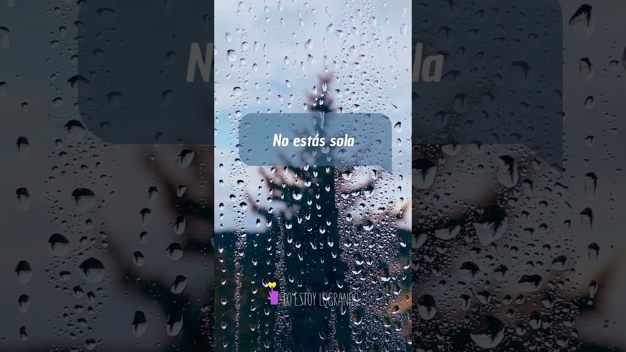 No temas Lo Estoy Logrando 1