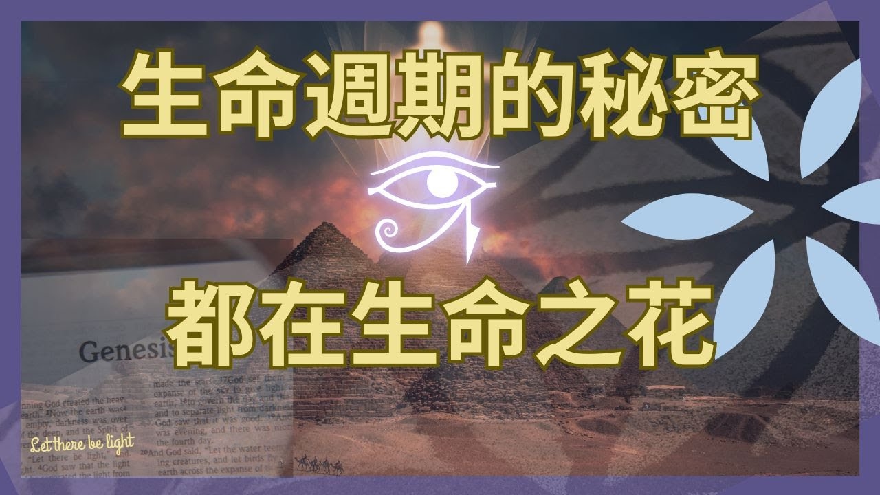 生命週期｜神聖幾何｜生命之花隱藏的秘密