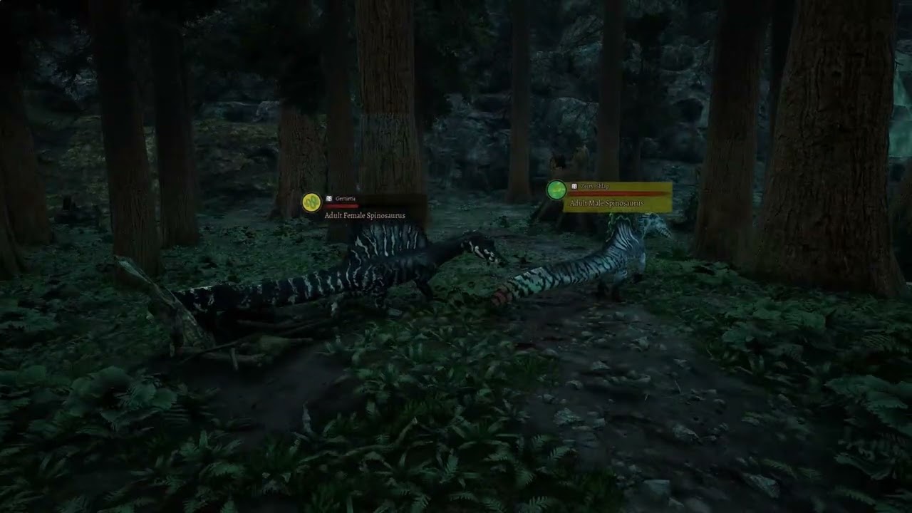 spino rb part 1