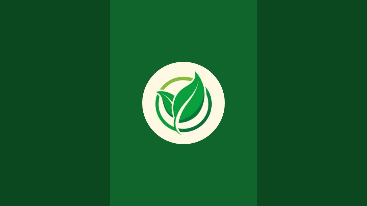 Root & Rise is live!