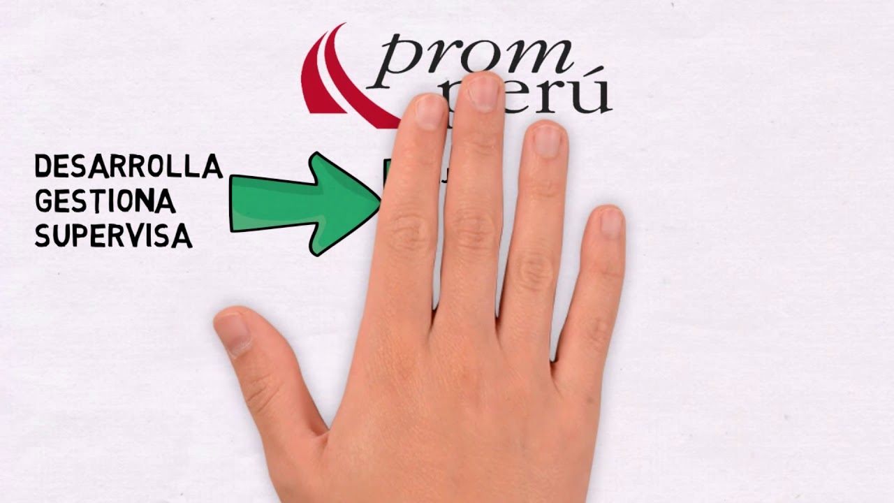 TODO LO QUE NECESITAS SABER SOBRE PROMPERU | VIDEO EXPLICATIVO