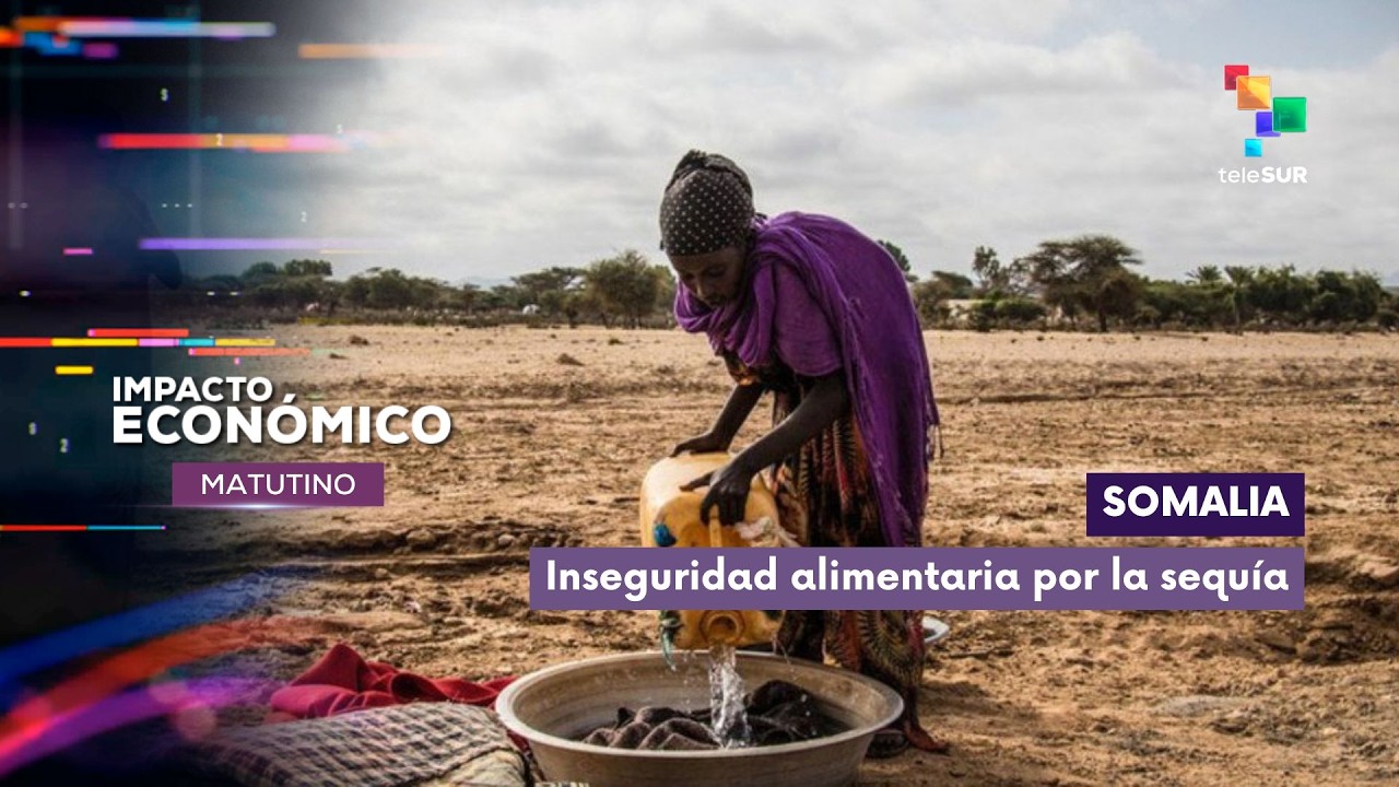 Impacto Económico | Somalia | Inseguridad alimentaria por la sequía