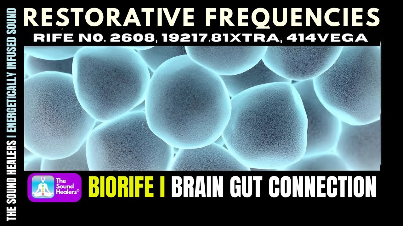 Gut, Brain & Skin Wellness | Biorife Frequencies for Balance & Detoxification During Sleep