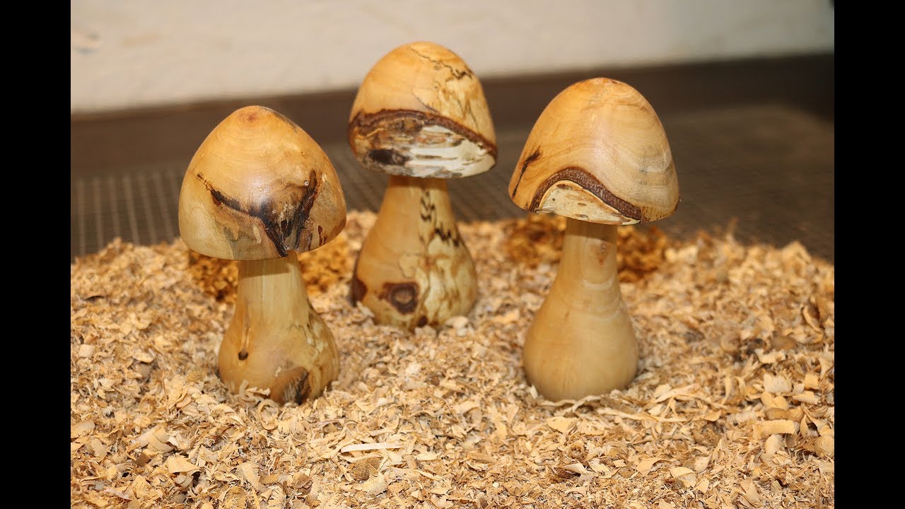Sehr schöne Pilze aus gestockter Birke drechseln / Deko / Garten - diy