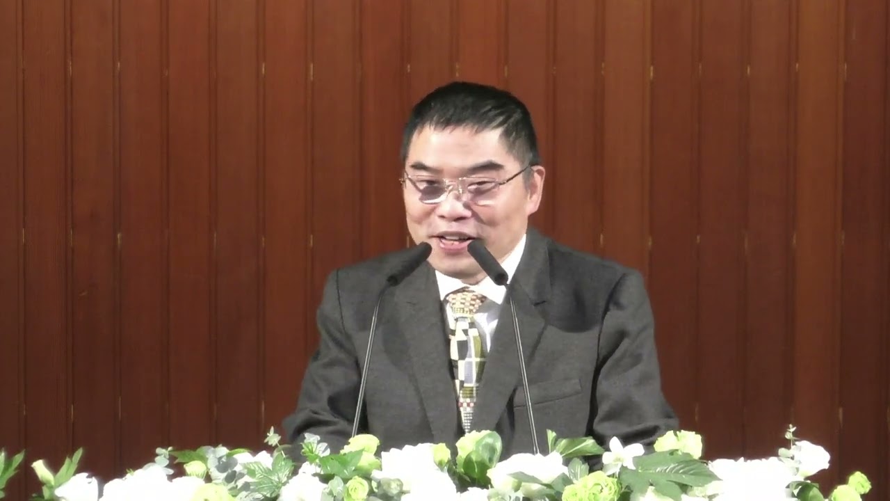 堅固的樹