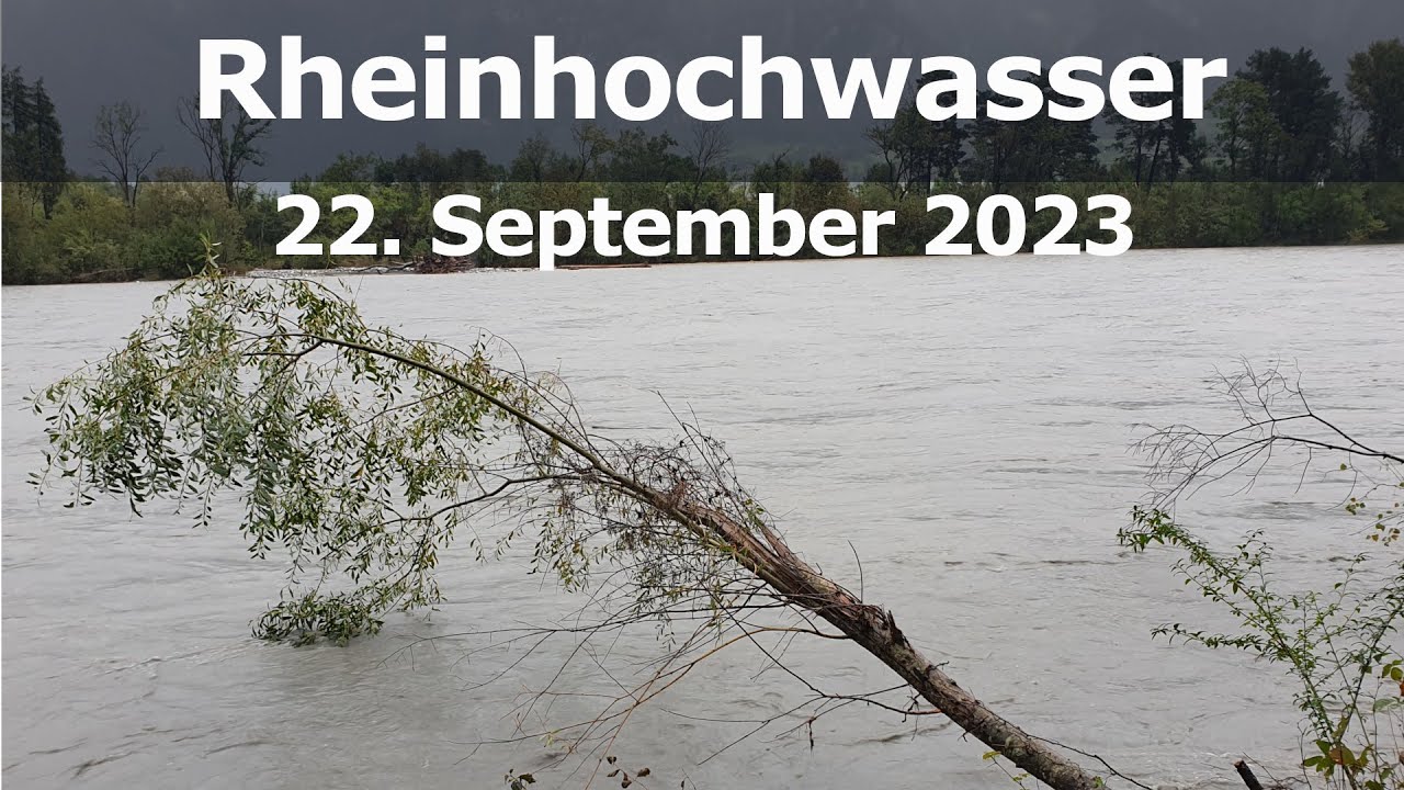 Rheinhochwasser September 23