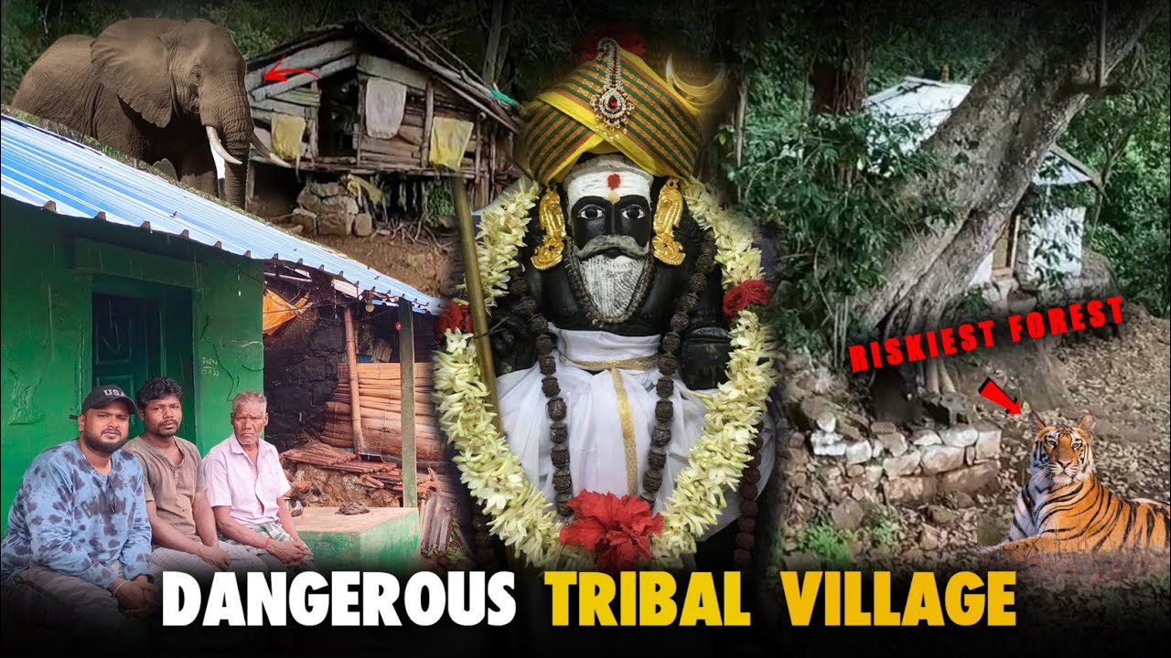 Dangerous Elephant Village In Tamil Nadu || ஆணைப்பள்ளம் Tribal Village ||