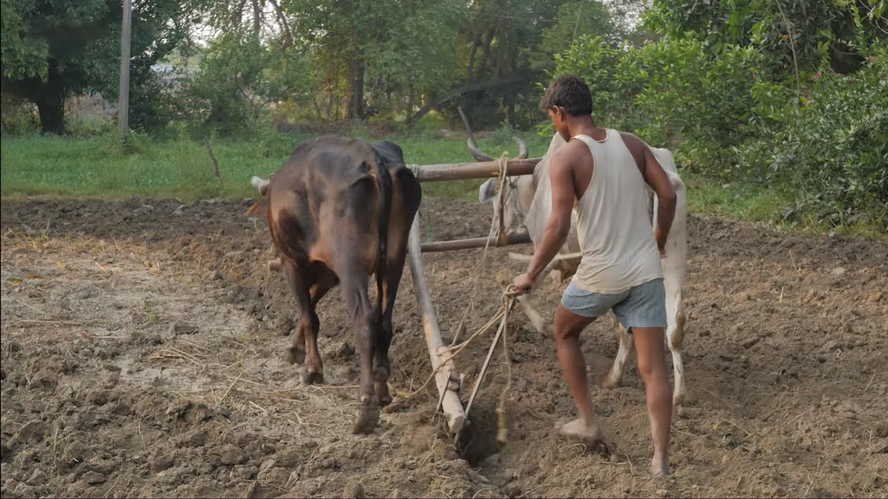 Is doubling farmers income by 2022 an achievable target?