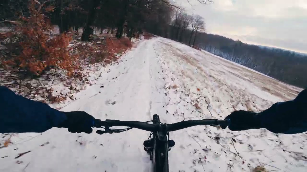 Wienerwald Snowride 10 01 2026