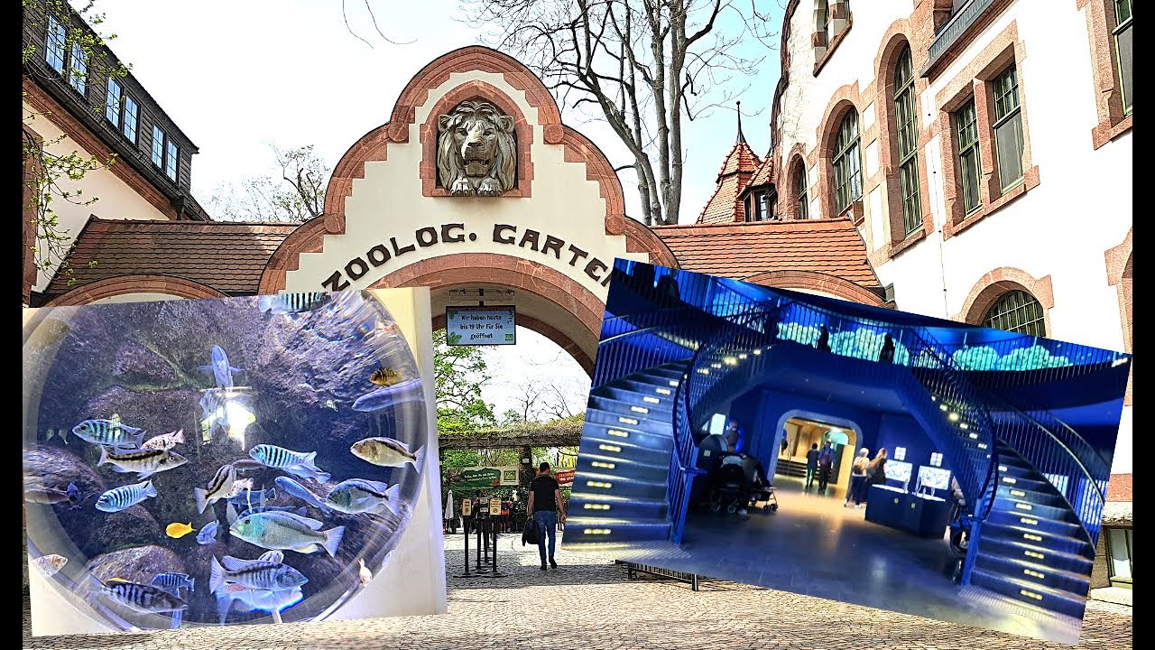 Zoo Leipzig Aquarium