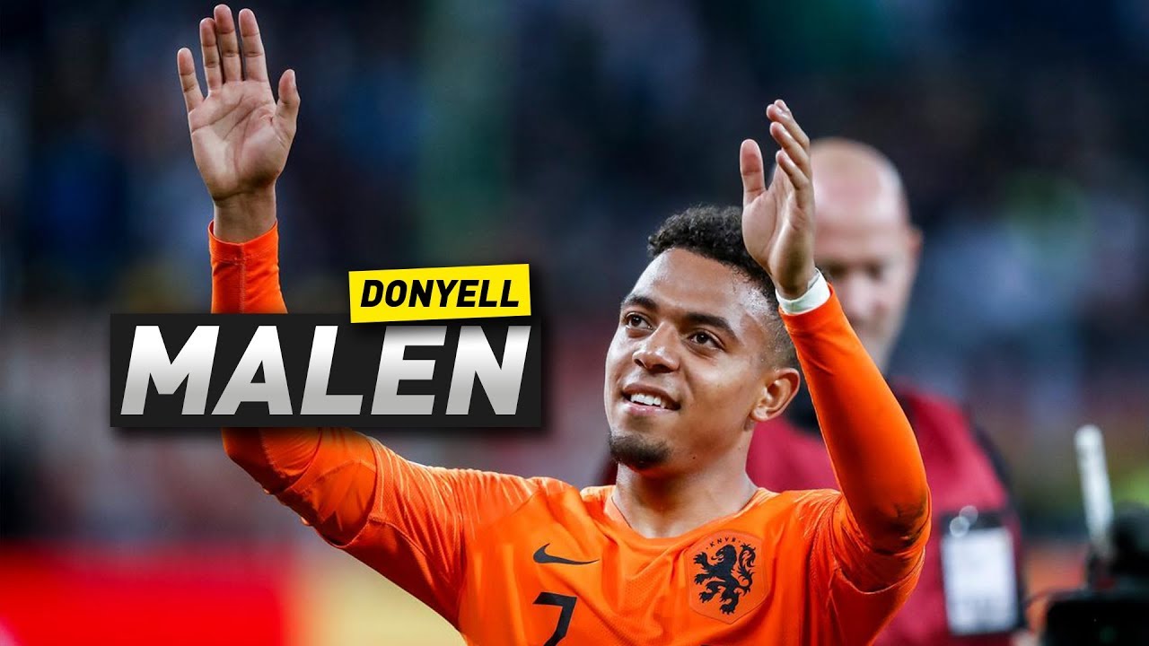 Donyell Malen | Goals, Skills, Assists | 2019 (HD)