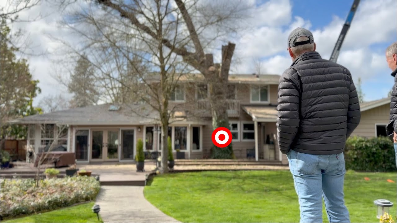 What a $12,000 Tree Removal Might Look Like