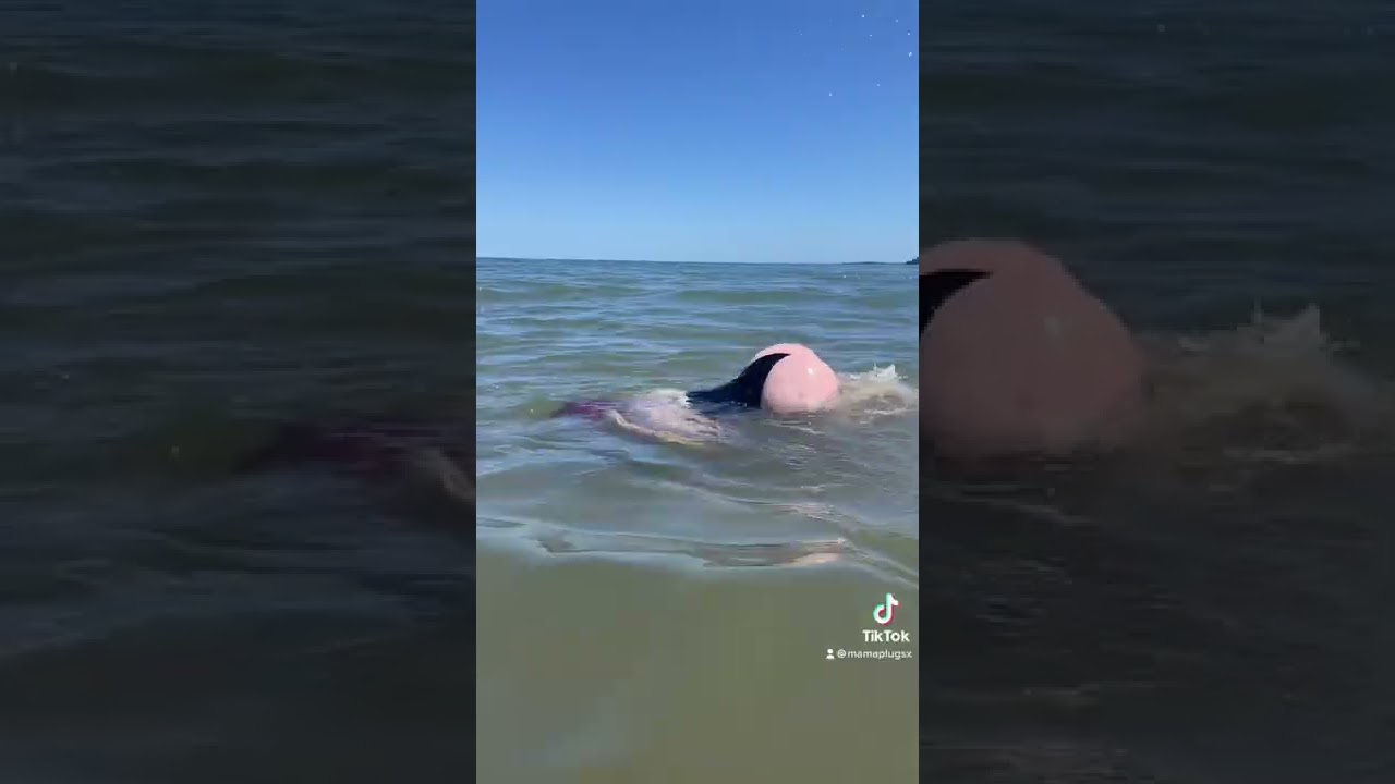 Beware of the booty shark!