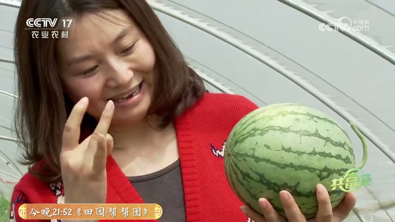 《共富经》 20250810 种瓜花样多 卖价顶呱呱 | 农业致富经 Agriculture And Farming