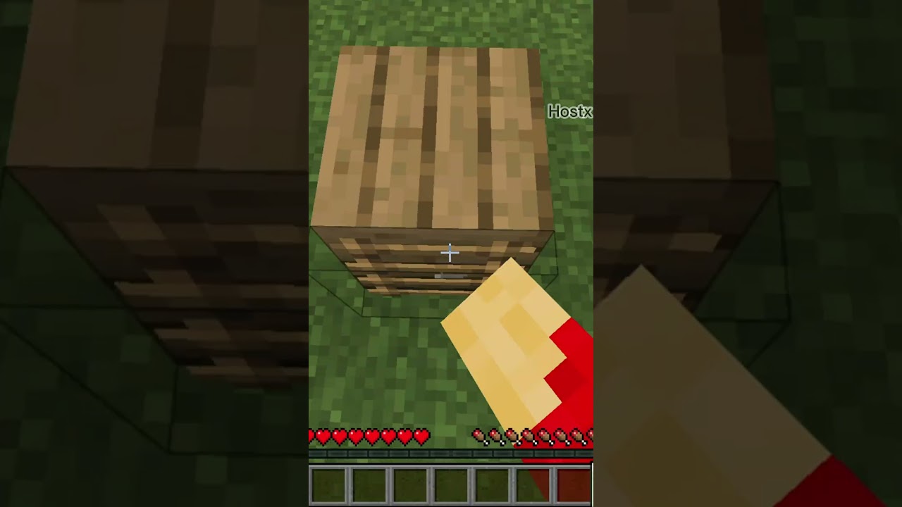 ✨Dream Action In Minecraft By Hostx✨