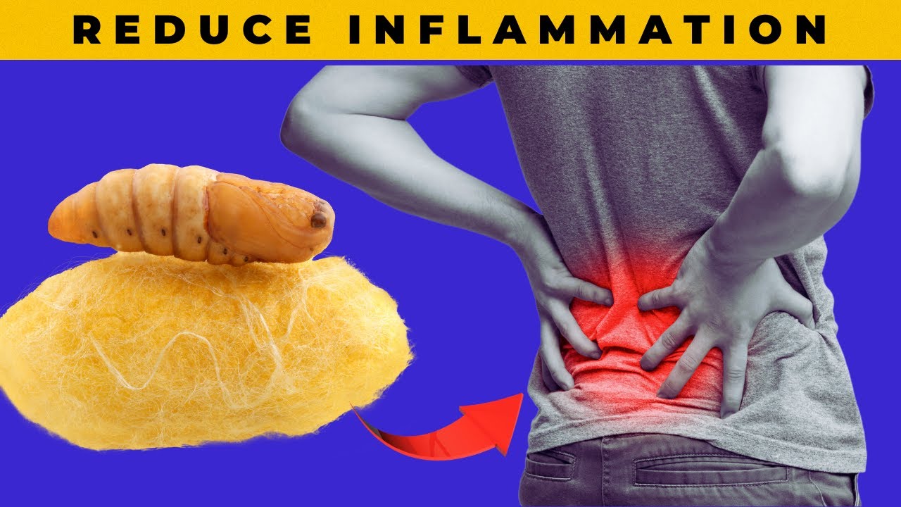 Serrapeptase: How To Utilize It's Many Health Benefits