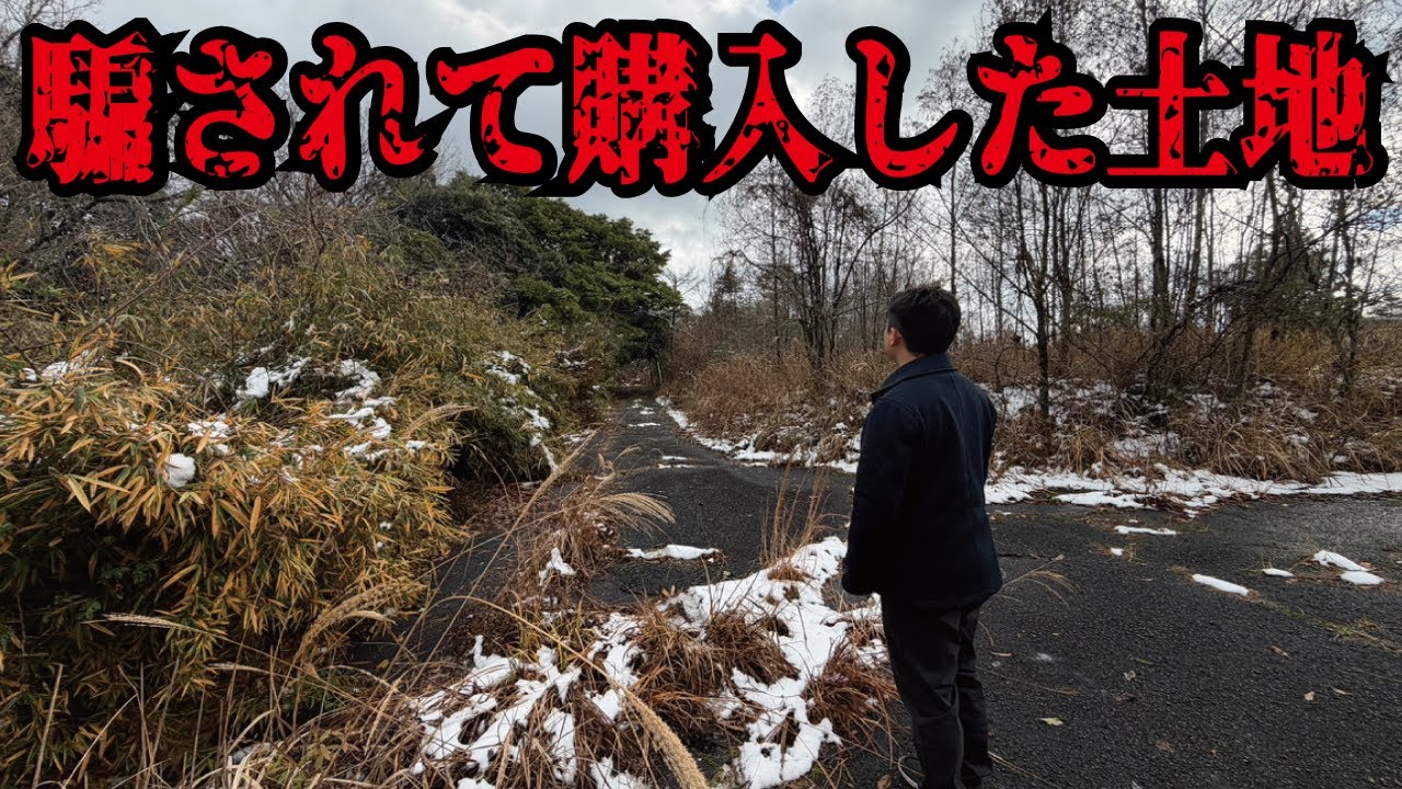 【バブル遺産】9割以上空地で森に返ろうとしているとんでもない限界ニュータウンが山奥にありました。
