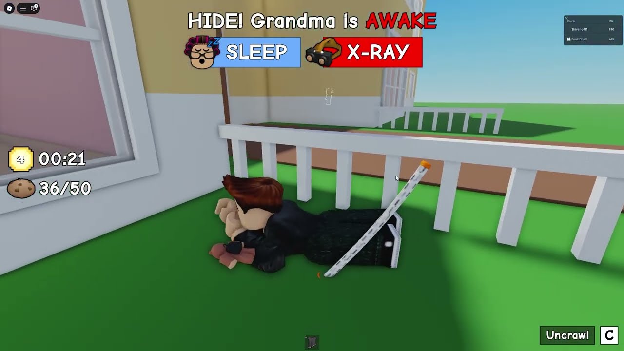 STEALING COOKIE FROM ANGRY GRANDMA IN ROBLOX !!