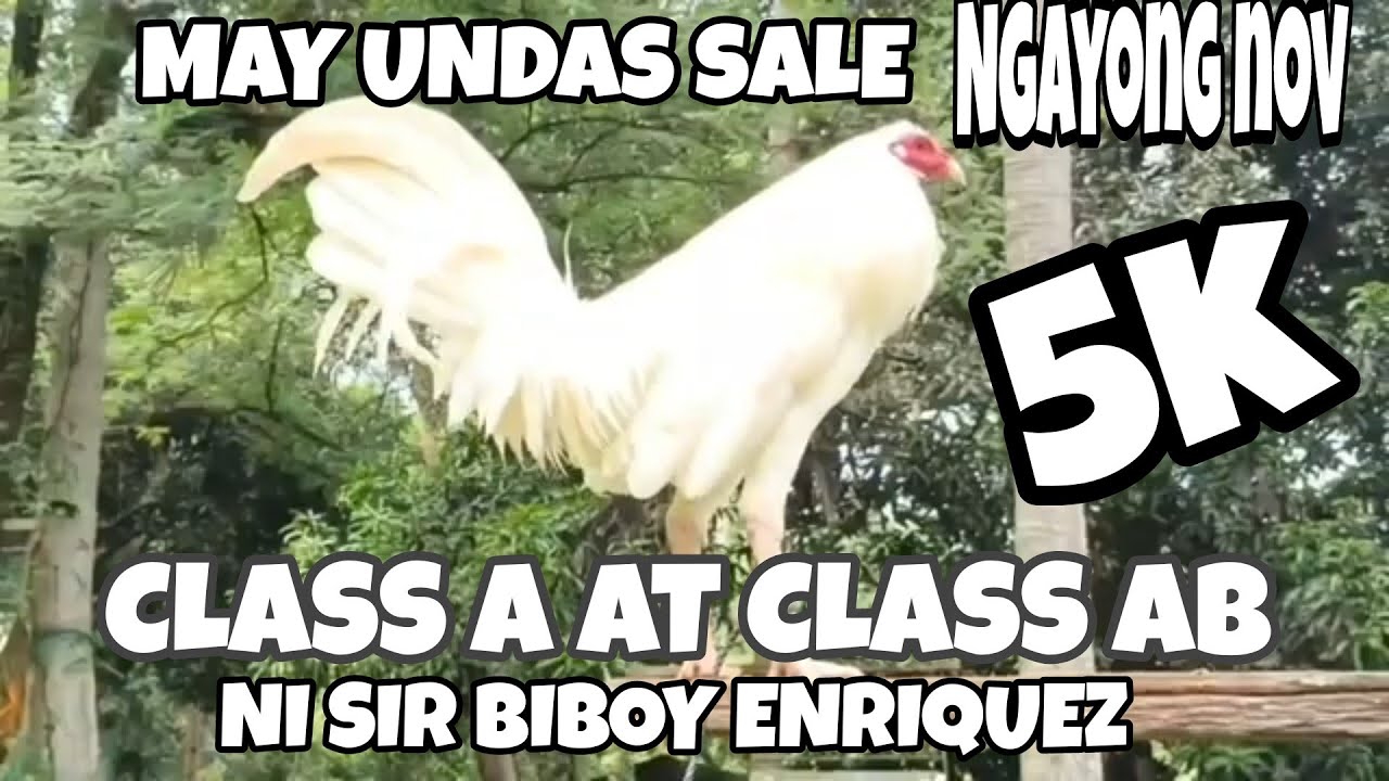 BREEDING AREA NI SIR BIBOY ENRIQUEZ