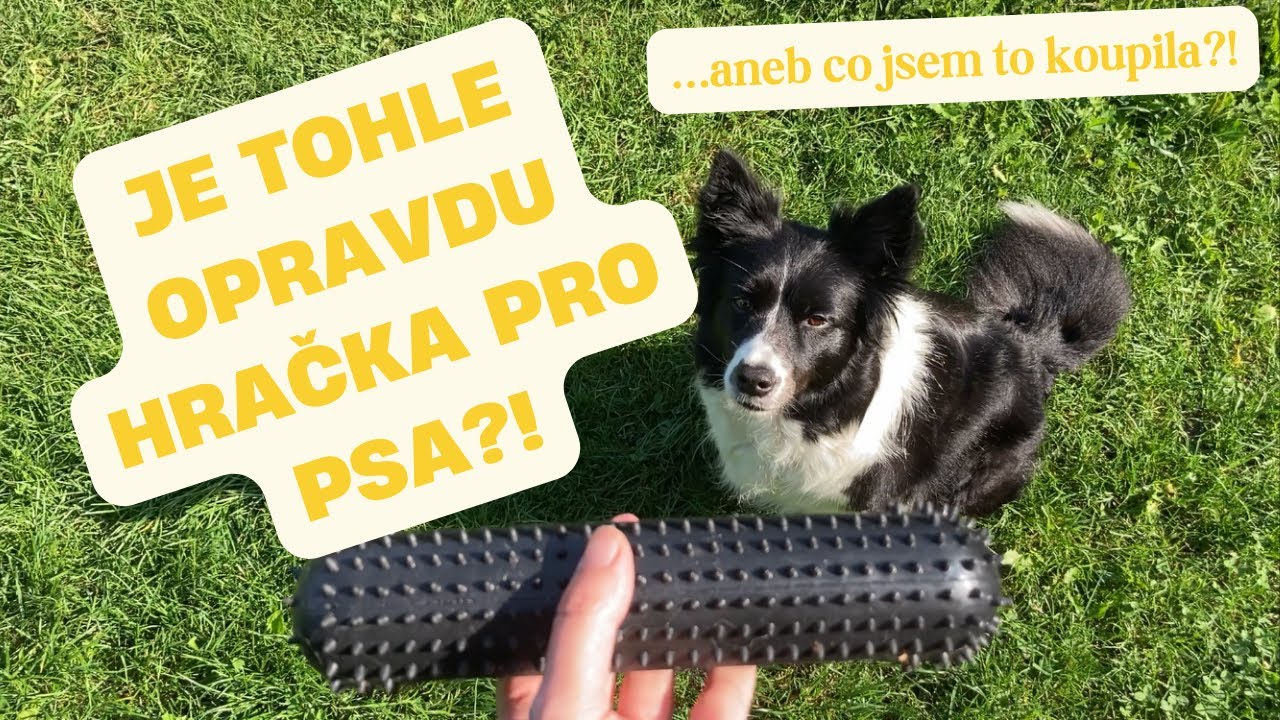 Mám novou hračku pro psa - interaktivní hračka, rozvoj psa
