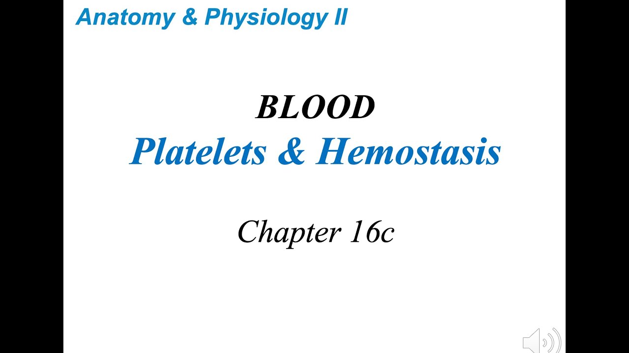 AP II Ch 16 c Hemostasis Lecture