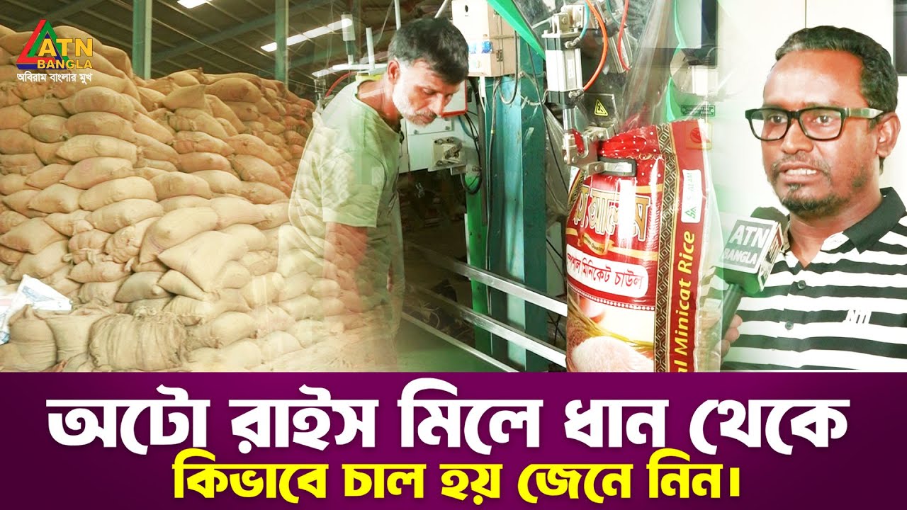 অটো রাইস মিলে ধান থেকে কিভাবে চাল হয় জেনে নিন | Special Program | ATN Bangla