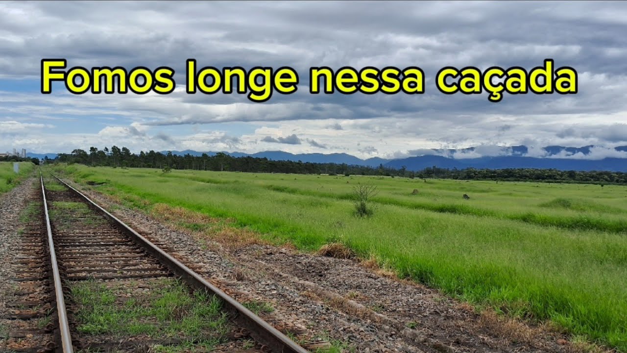 Caçada na fazenda B. Parte III