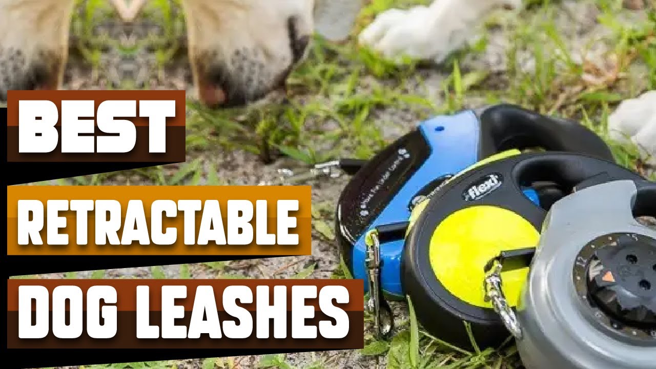 Best Retractable Dog Leash In 2026 - Top 10 Retractable Dog Leashes Review