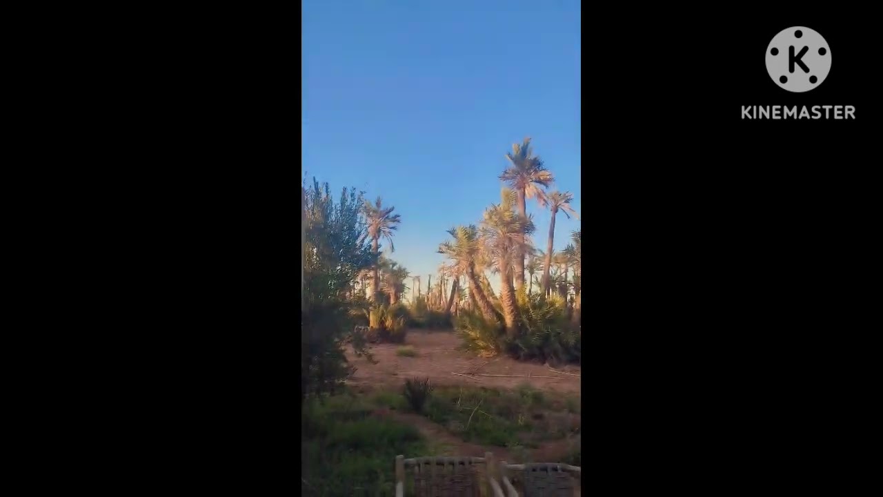 H&ocirc;tel rose aqua parc Marrakech🏊🏖️🍹Desert AGAFAY🏜️Quad🏝️🌄🏍️Ourika☀️🏞️