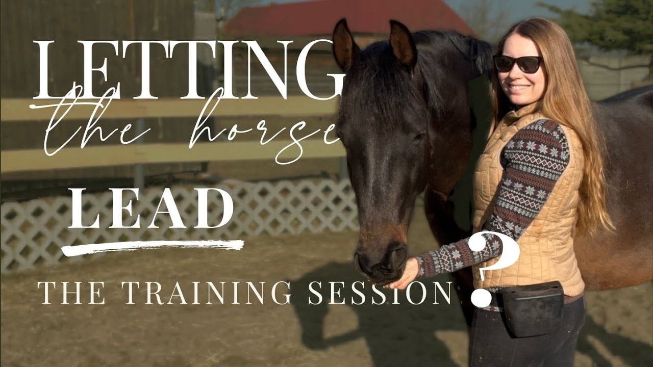 Can we let the horse decide about training?
