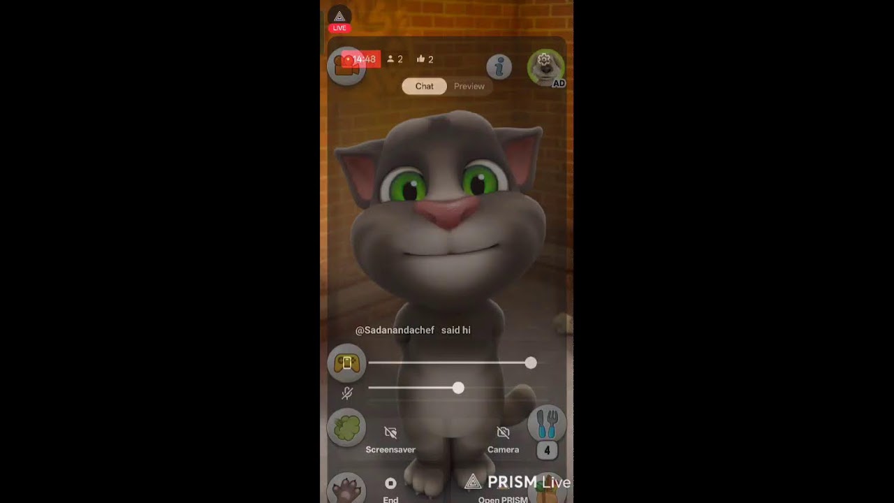 Talking Tom Game