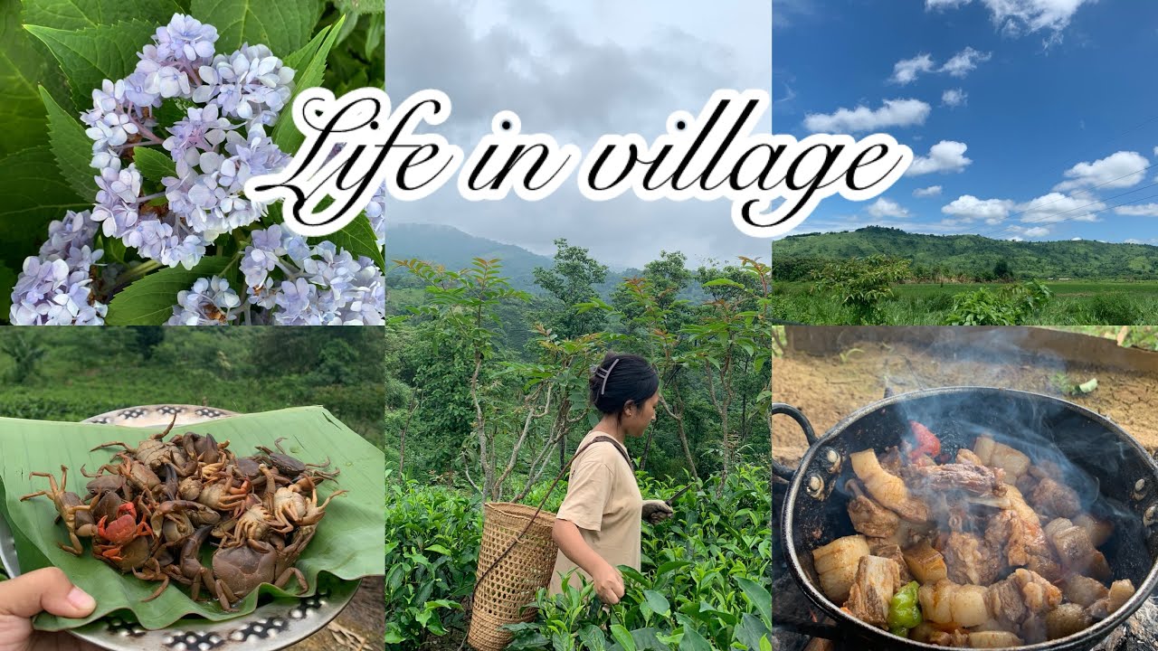 Vlog :) Life back home at Tizit village 💚🫶🏻||Tea garden 🪴 || my family 🤍