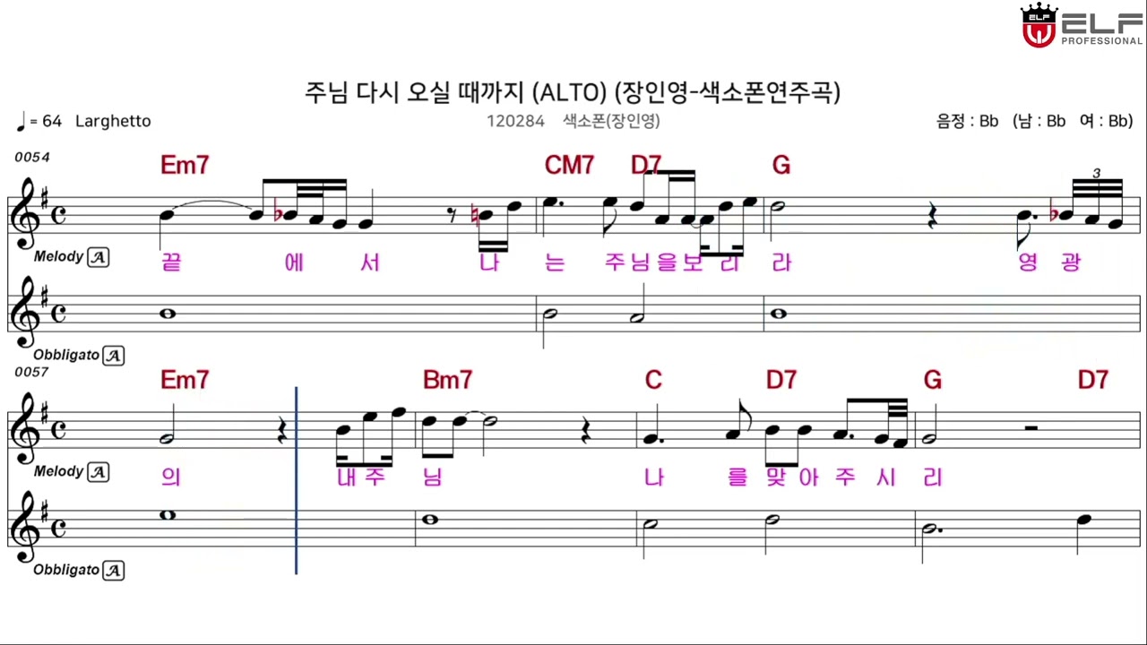 [슬기로운 연주생활] 주님 다시 오실 때까지 - 장인영