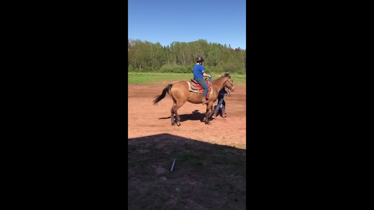 Charlie&rsquo;s first ride