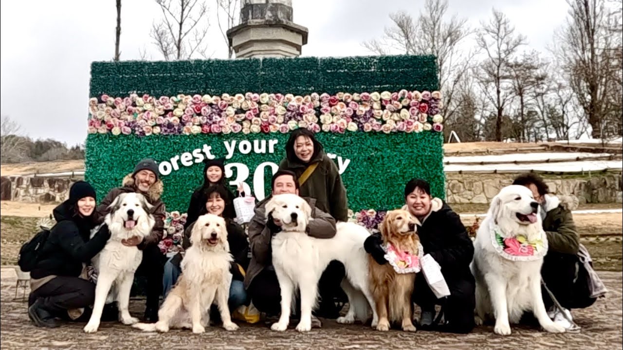 大型犬大集合の休日！岡山の大人気犬連れスポットが楽しすぎた♪