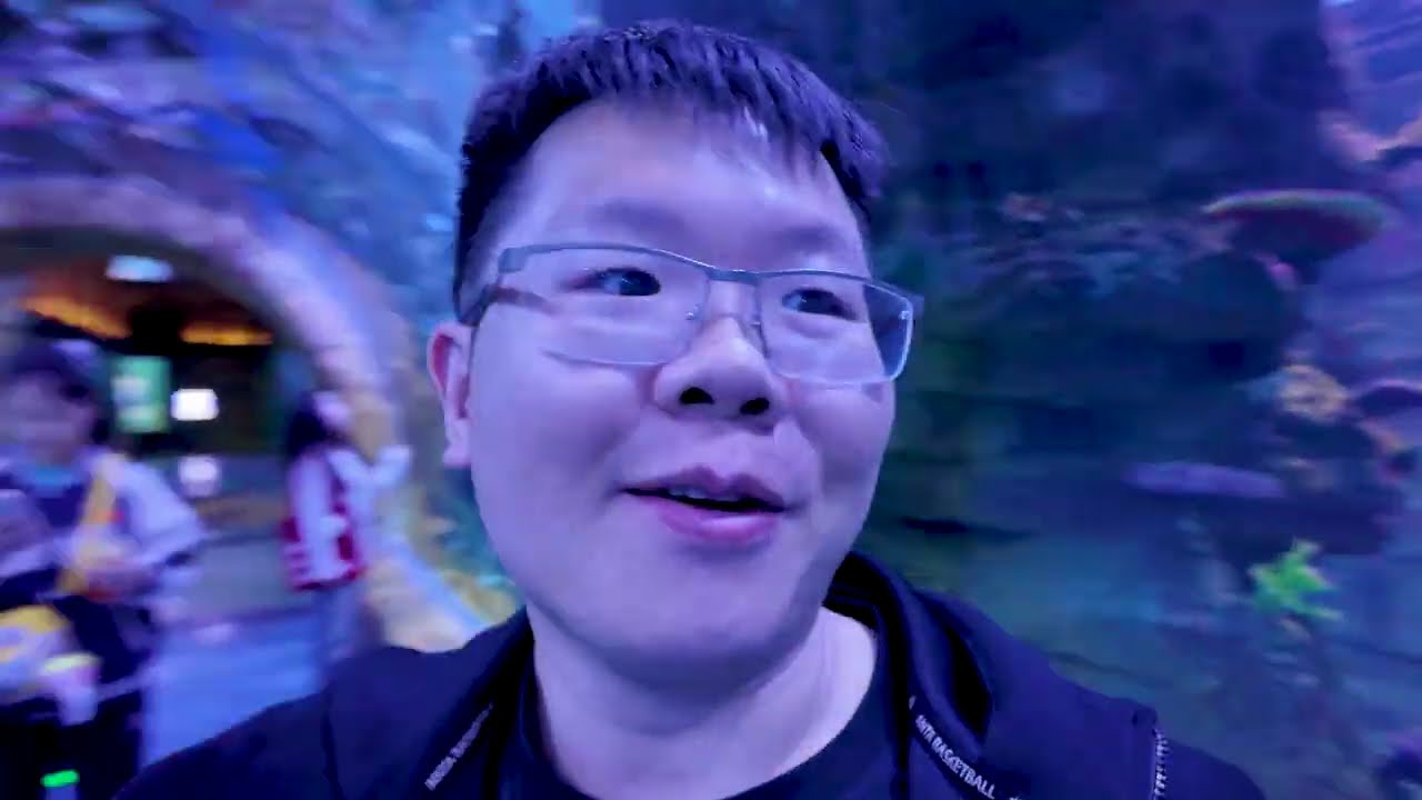 佛山水族馆探访｜三层海洋世界 + 美人鱼表演！周末好去处