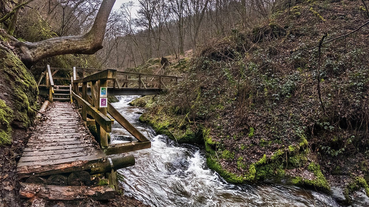 Ehrbachklamm & Schöneckschleife | Ein Highlight jagt das nächste