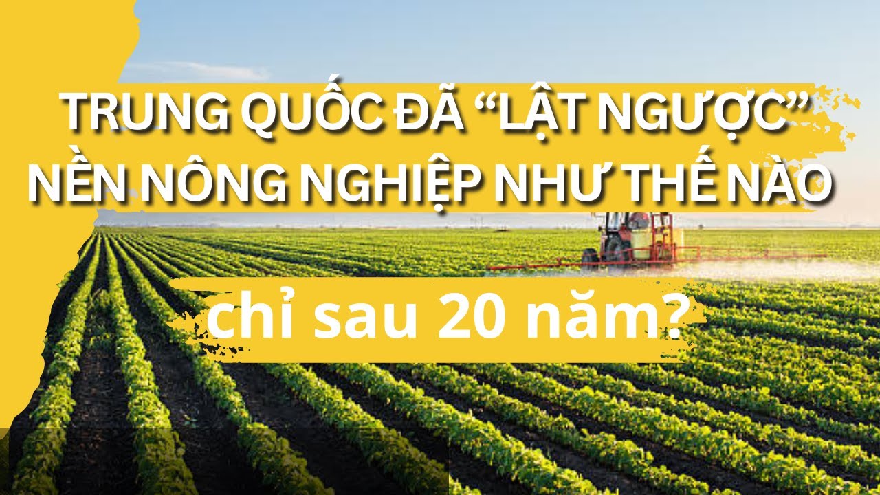 Nền Nông nghiệp Trung Quốc đã “lật ngược” như thế nào chỉ sau 20 năm
