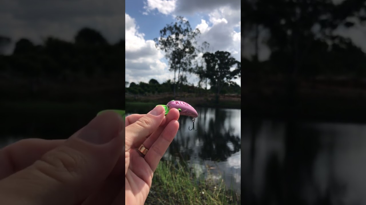 Isca artificial - impress&atilde;o 3D #impress&atilde;o3d #iscaartificial #pescaesportiva #pesca