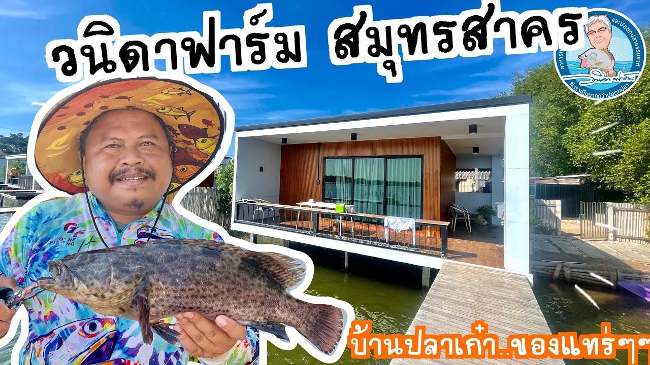 วนิดาฟาร์ม สมุทรสาคร (บ้านปลาเก๋า) #ตกปลา #วนิดาฟาร์ม