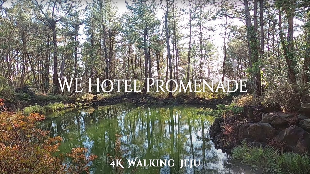 WE Hotel, Jeju | Garden Paths & Forest Walk | 4K