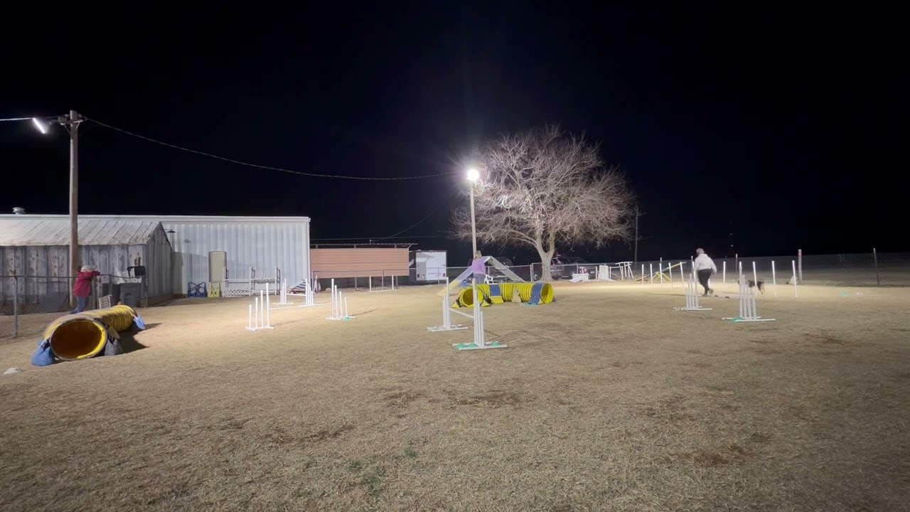 Bonnie-LMW2603(9) 0:41.81s 0 fault