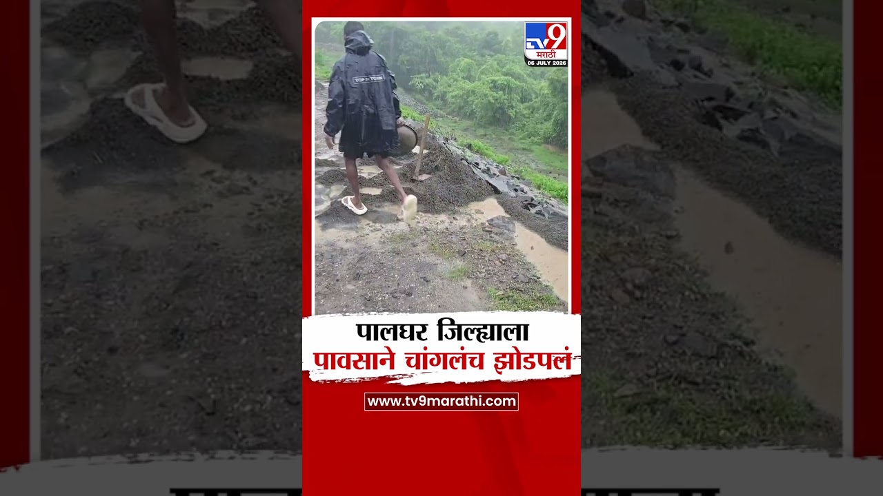 Palghar Heavy Rain | पालघर जिल्ह्याला पावसाने चांगलंच झोडपलं