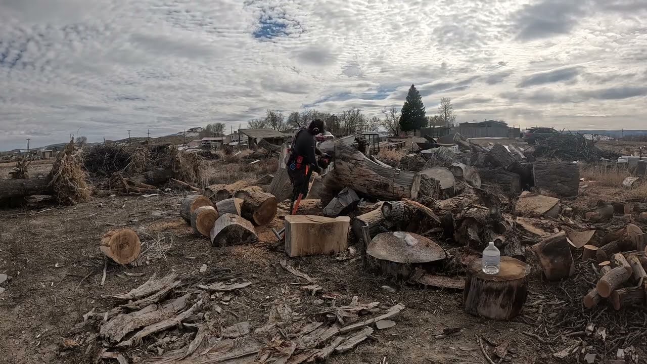 Распиливание больших сложенных бревен с помощью бензопилы Stihl 661 и крюка CANT.