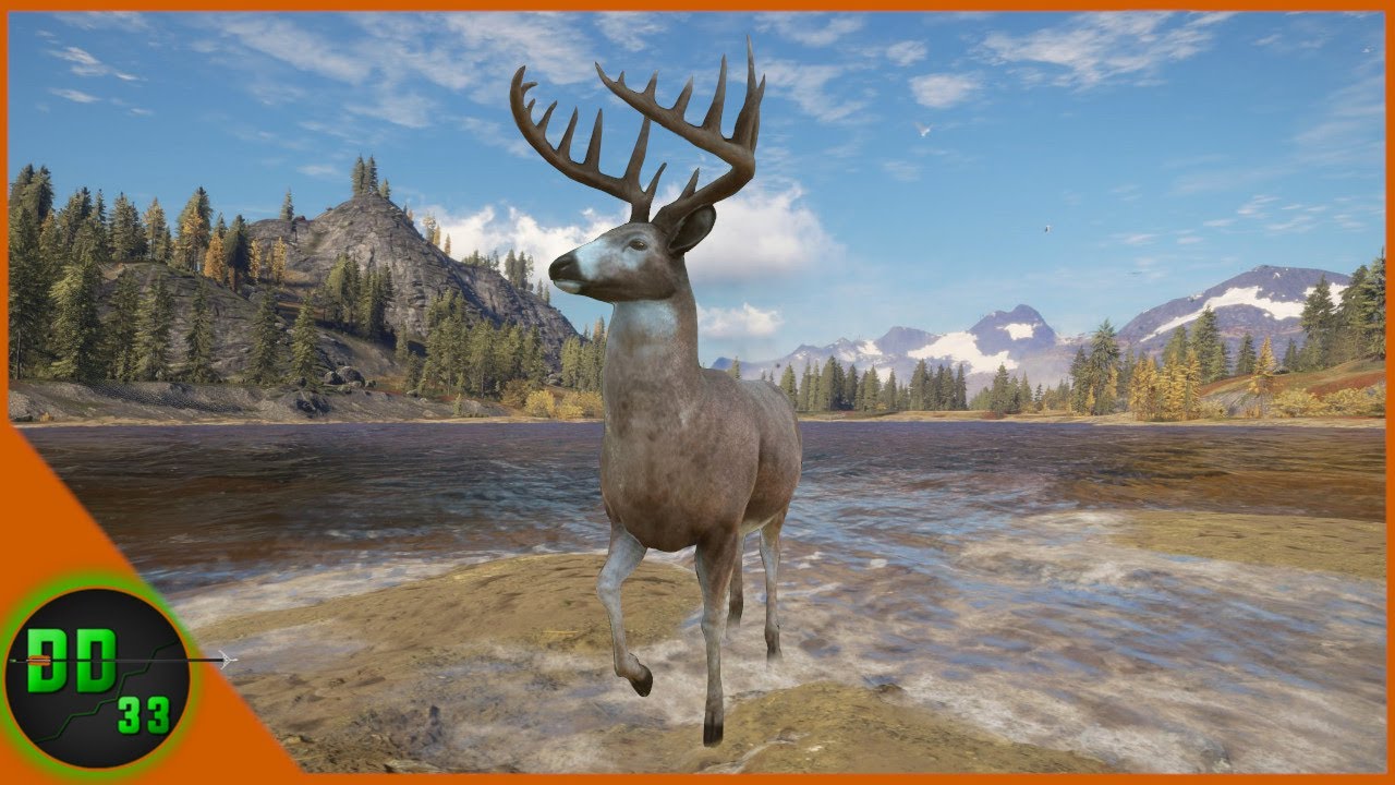 The Great Whitetail Hunt! Call Of The Wild