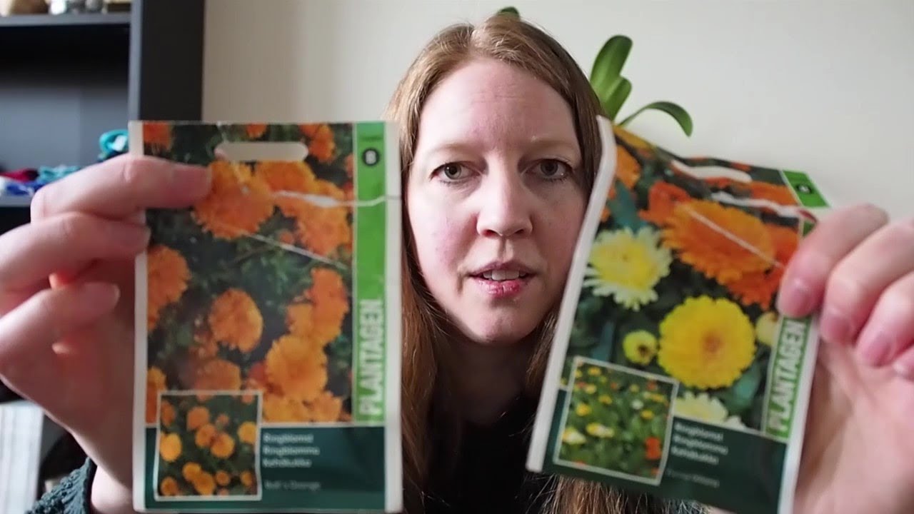 Snart ompotting av planter, grønnsaker er sådd og hvilke blomster som skal i blomsterbedene