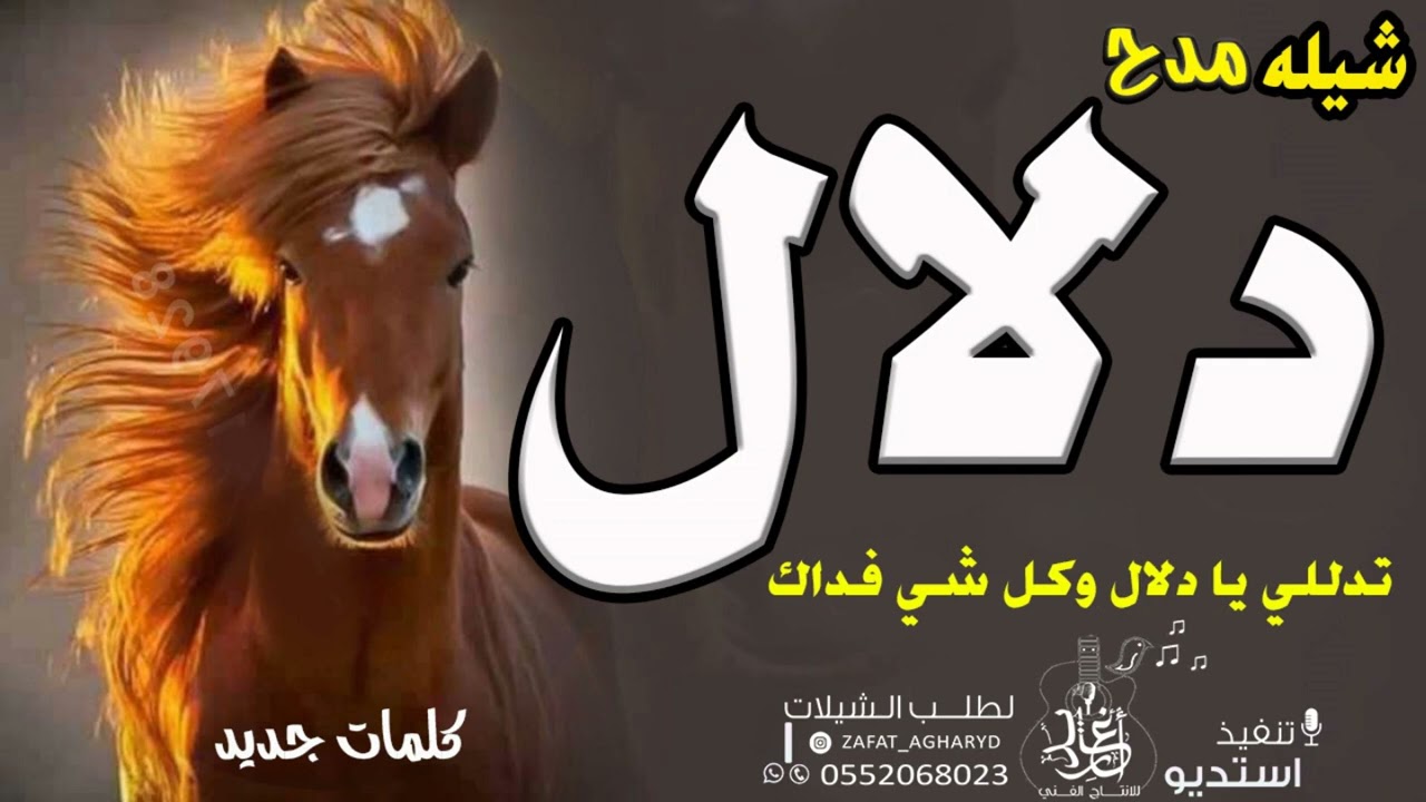 ٨ فبراير، ٢٠٢٦