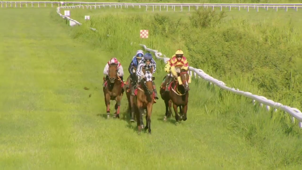 Course 7 PRIX DES MONCELINIERS 14/09/25