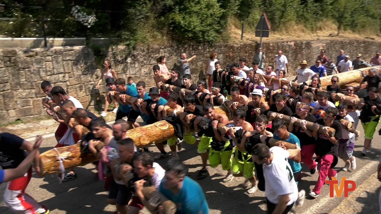 Traída del Mayo y Almuerzo en Vegamolino - Vilviestre del Pinar 2025