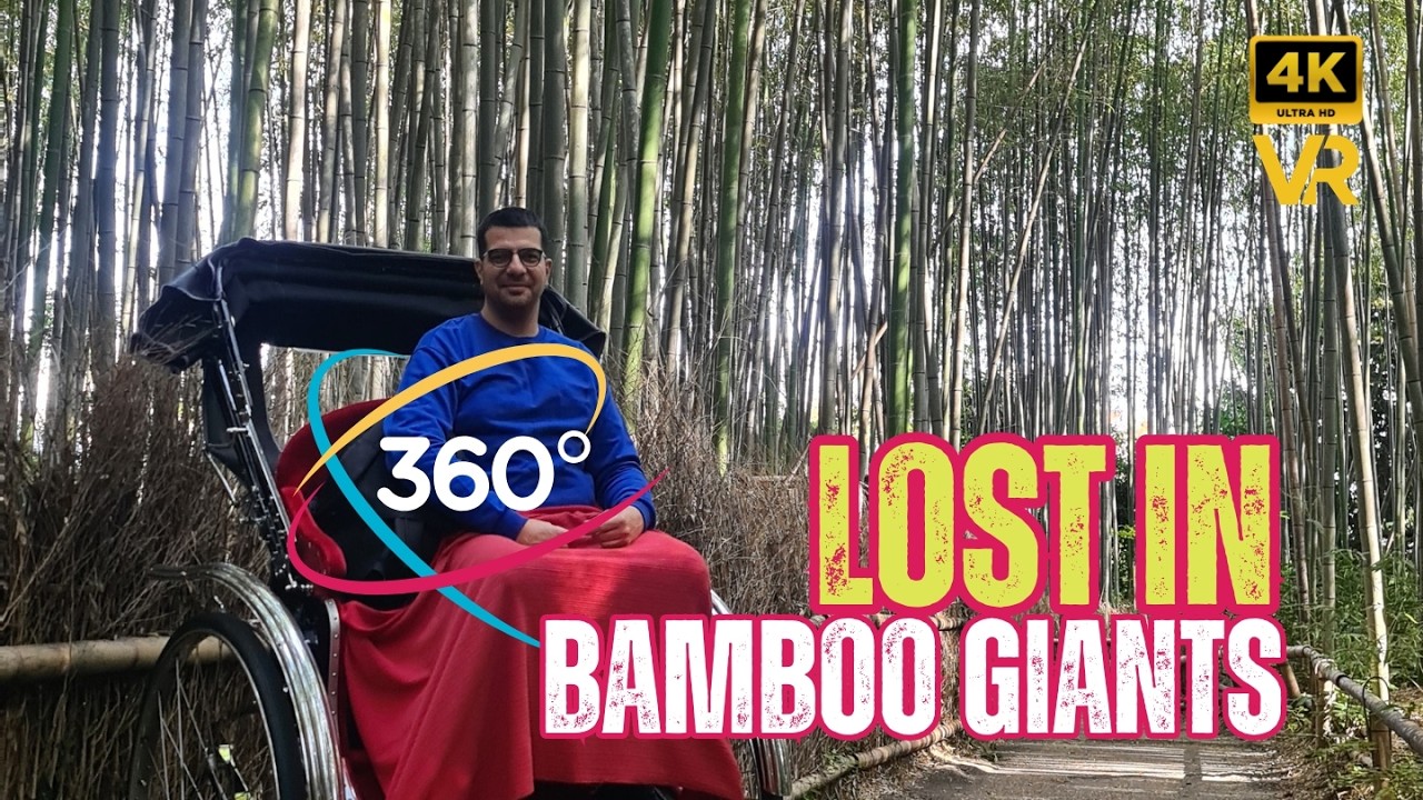 LOST in the Bamboo Forest: Which path is real? (360°)